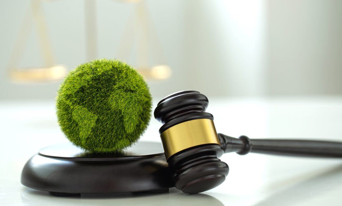 Gavel and earth symbolizing policy change and clean tech challenges